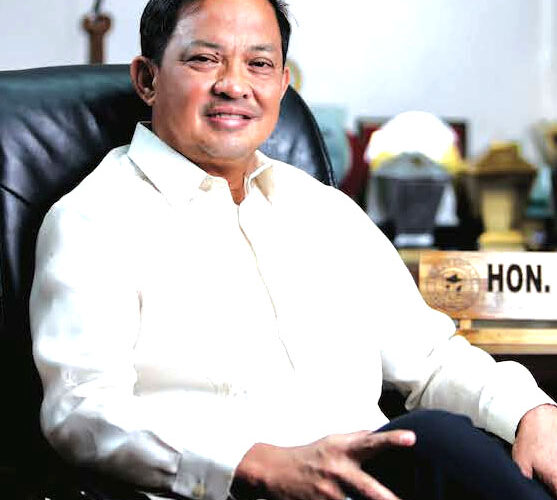 Rosal to contest Comelec deliberate abuses